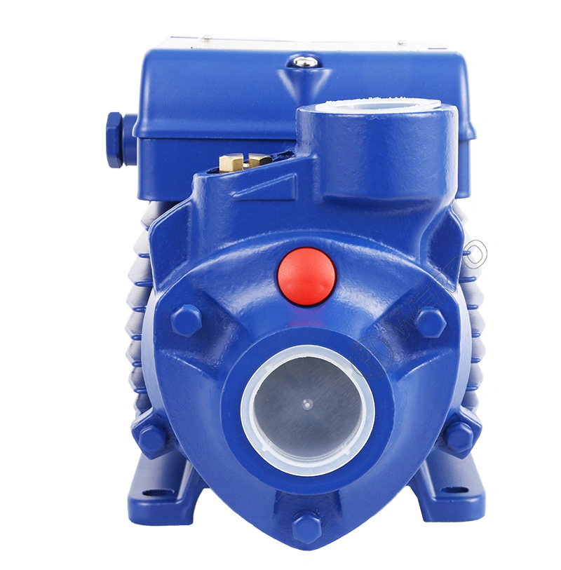 Werto Pq Series Made in Original Factory Price Peripheral Pump Electric Water Pump