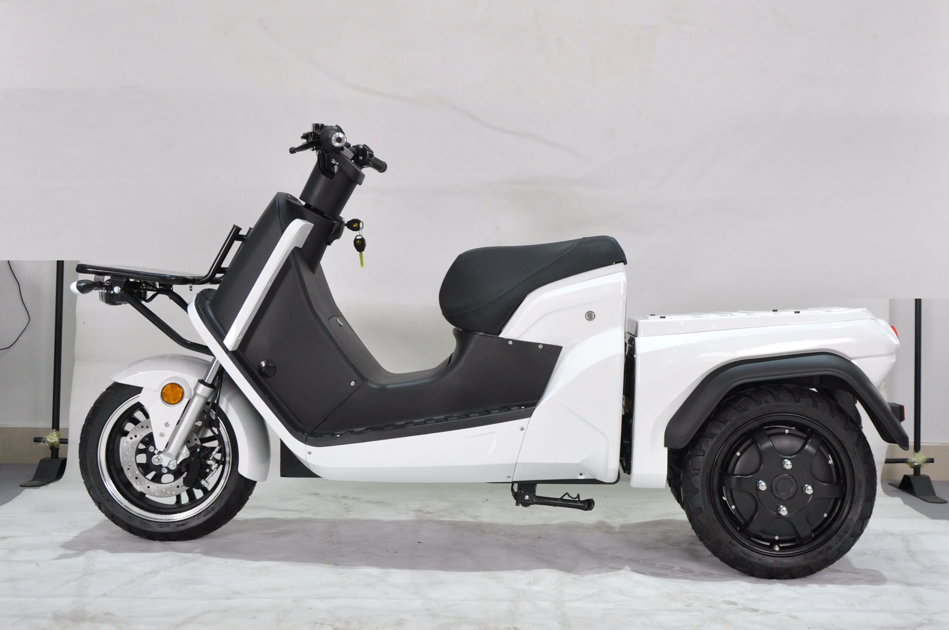 Vente à chaud Trike électrique de livraison tricycle 3 roues 3 Moto-roue avec CEE