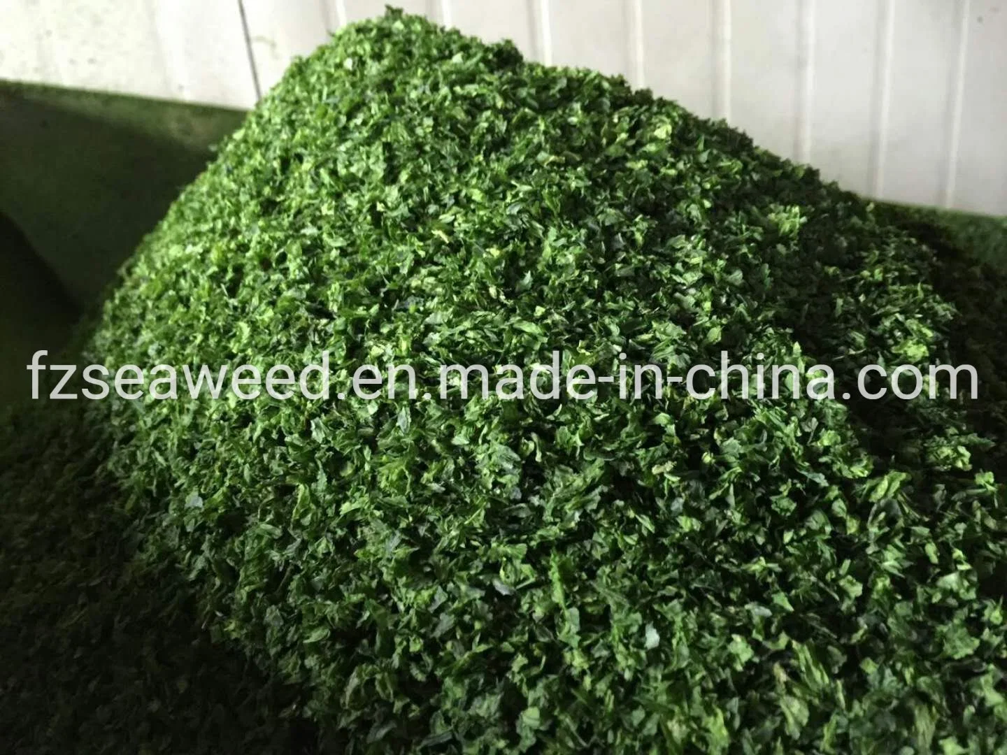 Top Quality Dried Sea Lettuce Seaweed- Ulva Lactuca