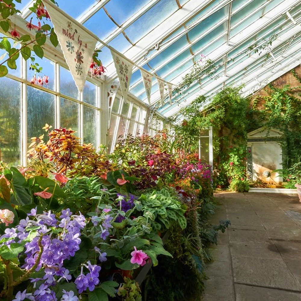 Film/Glass Horticultural Small Garden Greenhouse with Coffee/Tea Chat Desk/Seed Rack/Fan/Flower Vegetable Feed