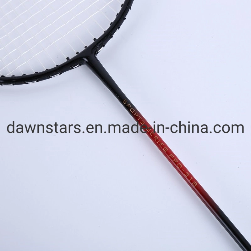 Entertainment Iron Badminton Rackets Set in Good Price