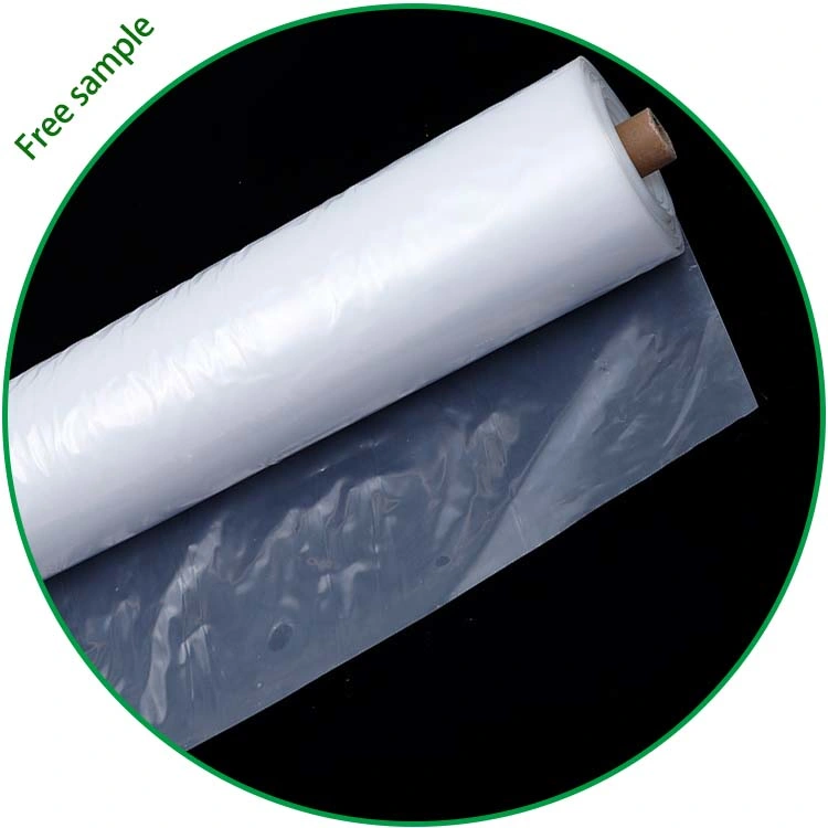 6 Mil X 24FT X 100FT Best Agriculture Greenhouse UV Protection Plastic Farming Plastic Film Greenhouse Film