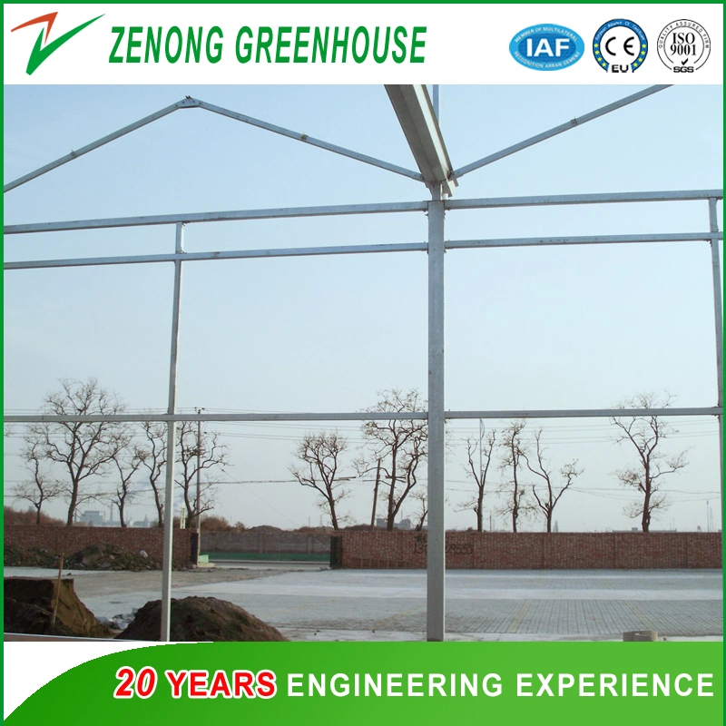 Factory Wholesale/Supplier Polycarbonate Sheet Greenhouse Used as Garden House for Vegetables/Flowers