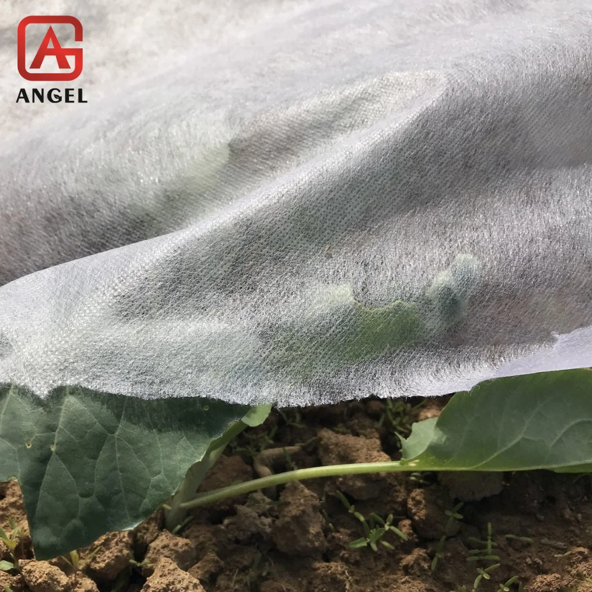 Add UV 100%PP Nonwoven Agriculture Cover Fabric