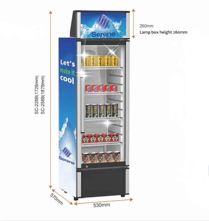 OEM ODM Hot sale vitrine de boissons verticales à une porte profonde Congélateur Afficher le réfrigérateur