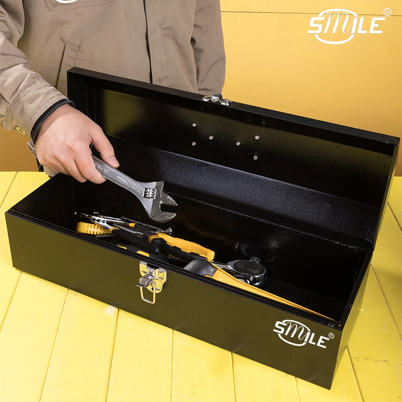 Smile New Design Handle Toolbox Hardware Storage Toolcase with Metal Removable Tray