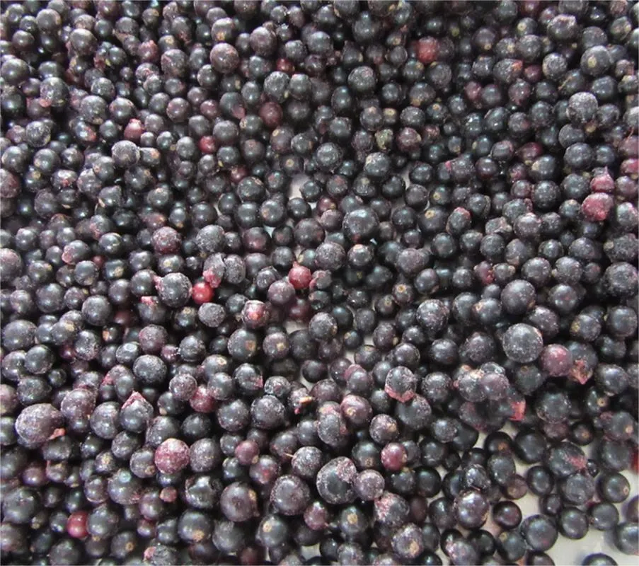 Blackcurrants IQF congelado, pasas de Corinto negro