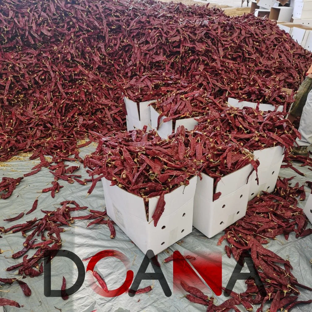 Dried Red Paprika 70mesh 200asta Grinding Sweet Chili Peppers