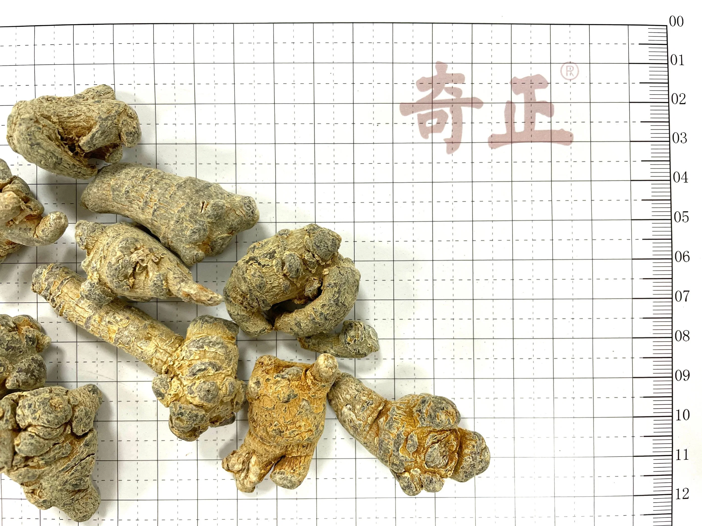 Fabrik Liefern Gute Qualität Chinesisch Kraut San Qi Panax Notoginseng Root