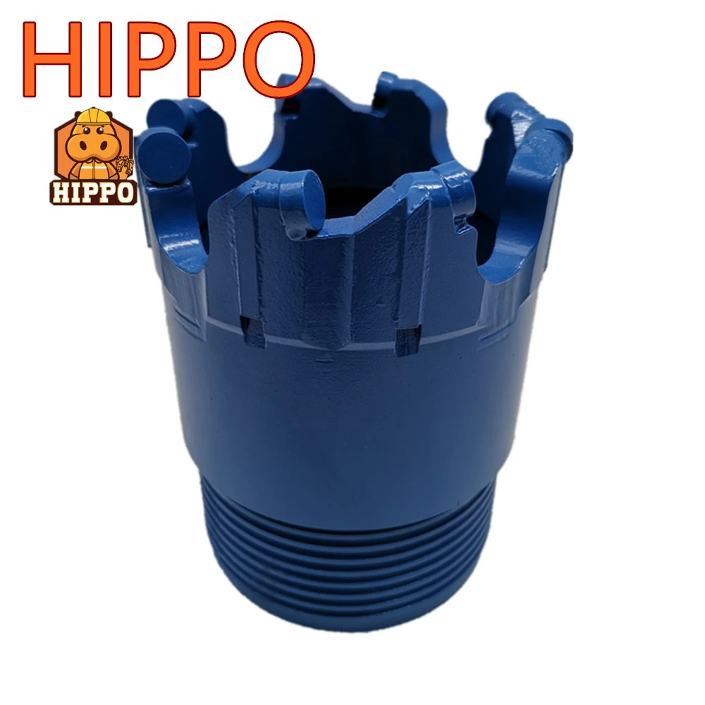 Hipona 146mm Broca Muestra PDC Core poco