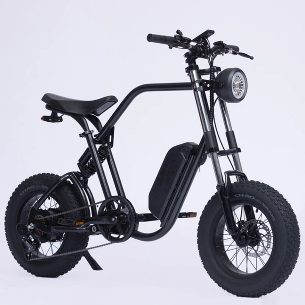 48V 500W 750W Power China Cheap Full Suspension Retro Vintage E Bike Ebike Dirt Mountain Fat Tire Bicycle Electric Bike