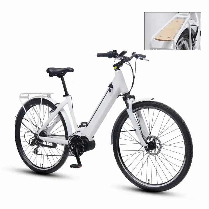 Personnalisé de gros de 250 W vélo électrique vélo de montagne de 26 pouces E avec la CE