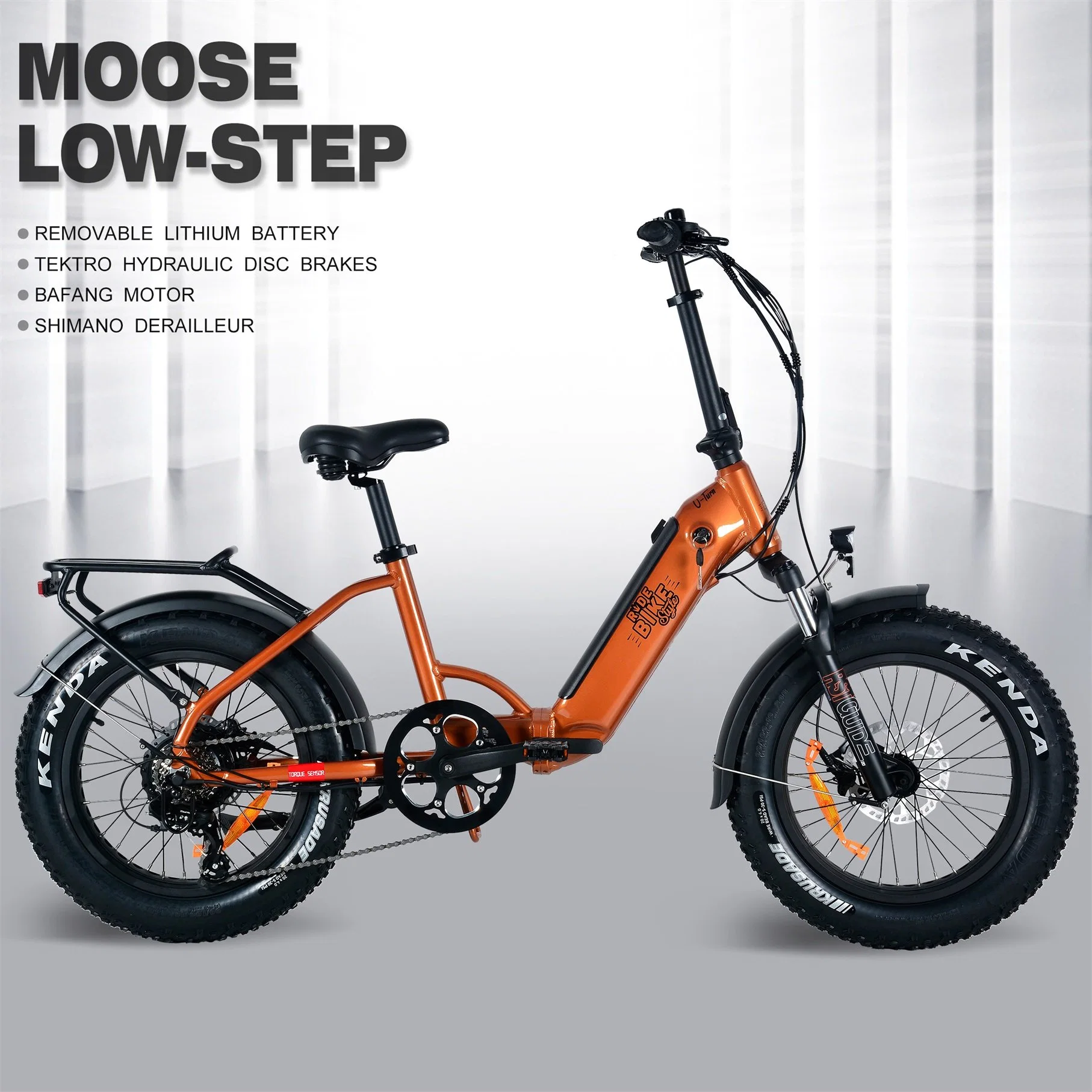 New Foldable Ebike with 750W Bafang Motor Fat Tire Dirt Bike Foldable Electric Bike for Adults