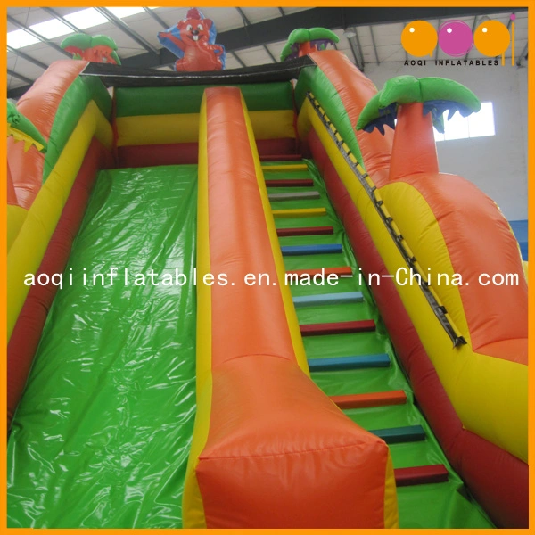 Inflatable Slide Toy Combined with Bouncer and Obstacle (AQ01107)