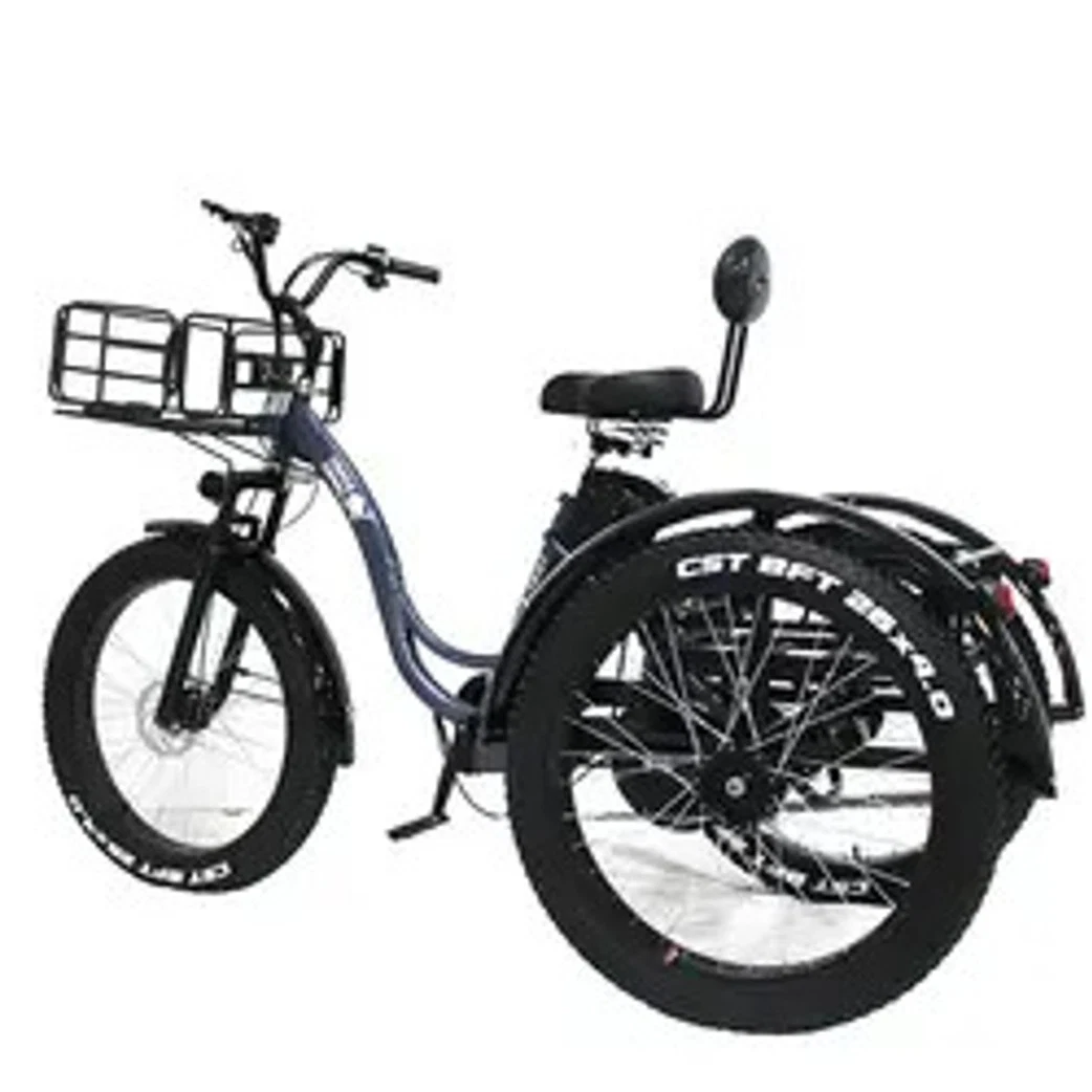 26inch * 4,0 LED-Display Brushless Controller Original E Trike