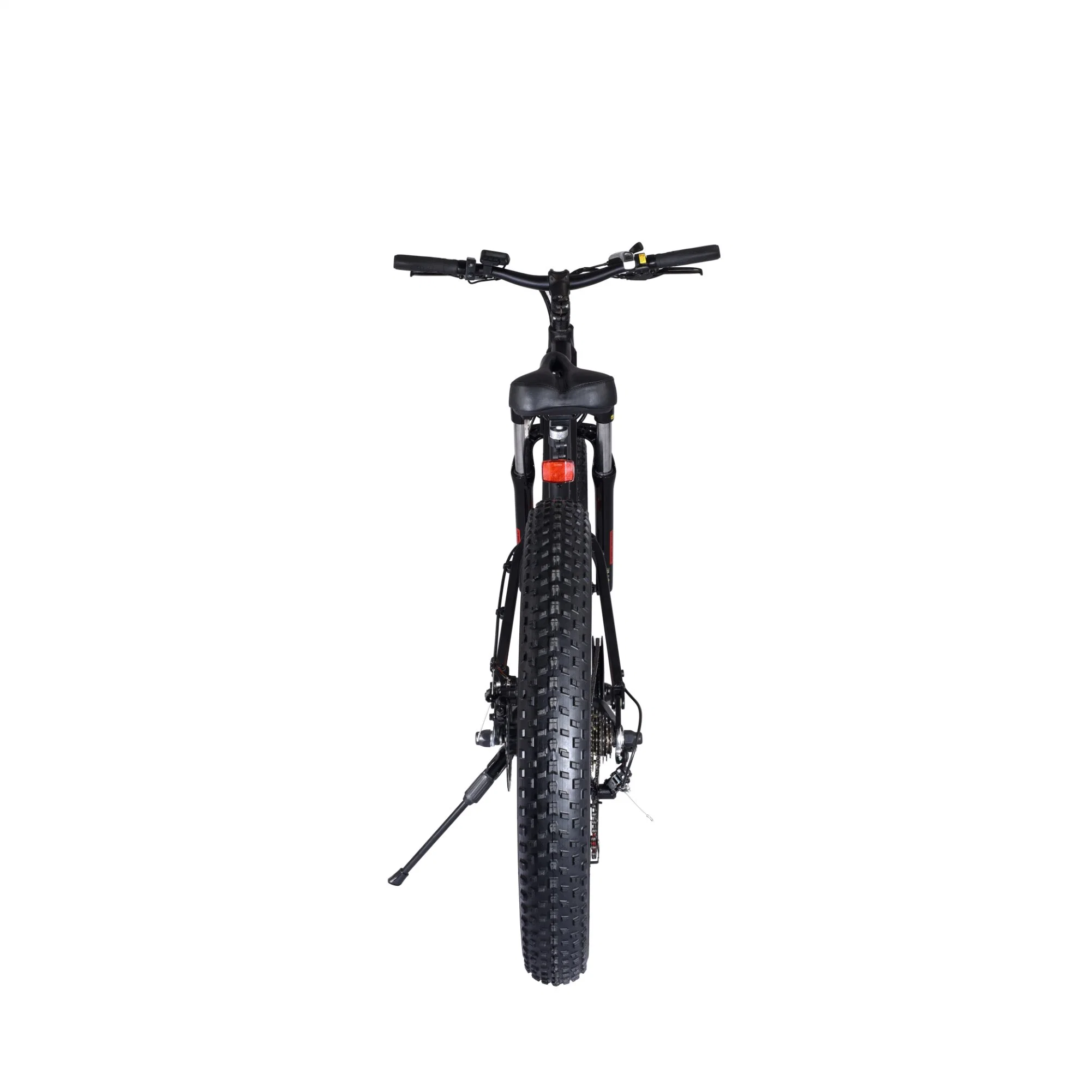 Latest Pedal Assist Beautiful Dirt Other Aluminum Alloy 7 Speed Disc Brake Customized Logo Fat Tire Mountain Electric Bike