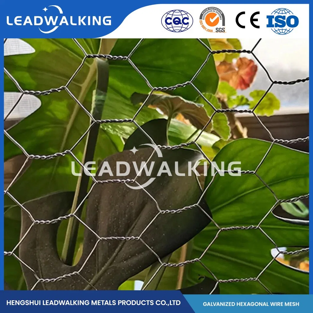 O fio de aço de baixo carbono Leadwalking Frango Material Fábrica de malha de arame 0.45-2.5mm de espessura do fio de compensação Hexagonal de PVC China Tecidos de malha Hexagonal Galvanizado