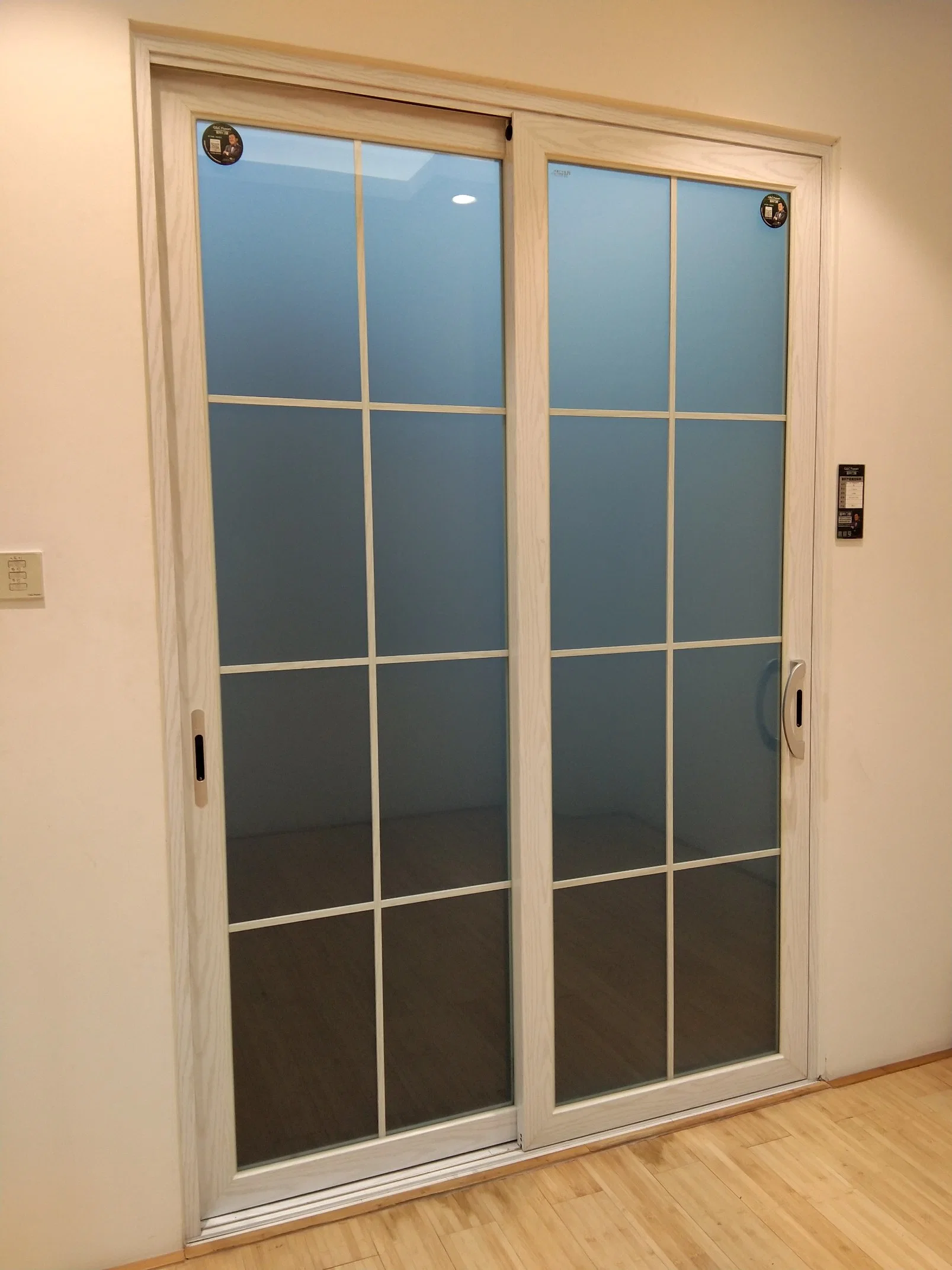 Exterior Aluminum Sliding Door with Stainless Steel Mosquito Net