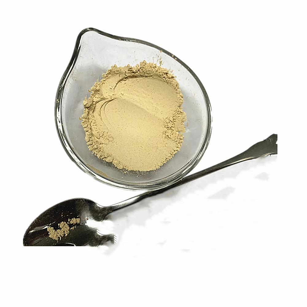 Top Quality Light Selected Healthy Dried Shitake Mushroom Powder