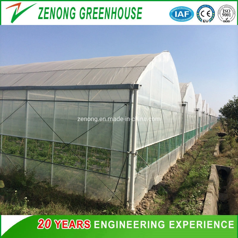 The Newest Agricultural Plastic Tunnel Film Green House for Vegetable Fruit