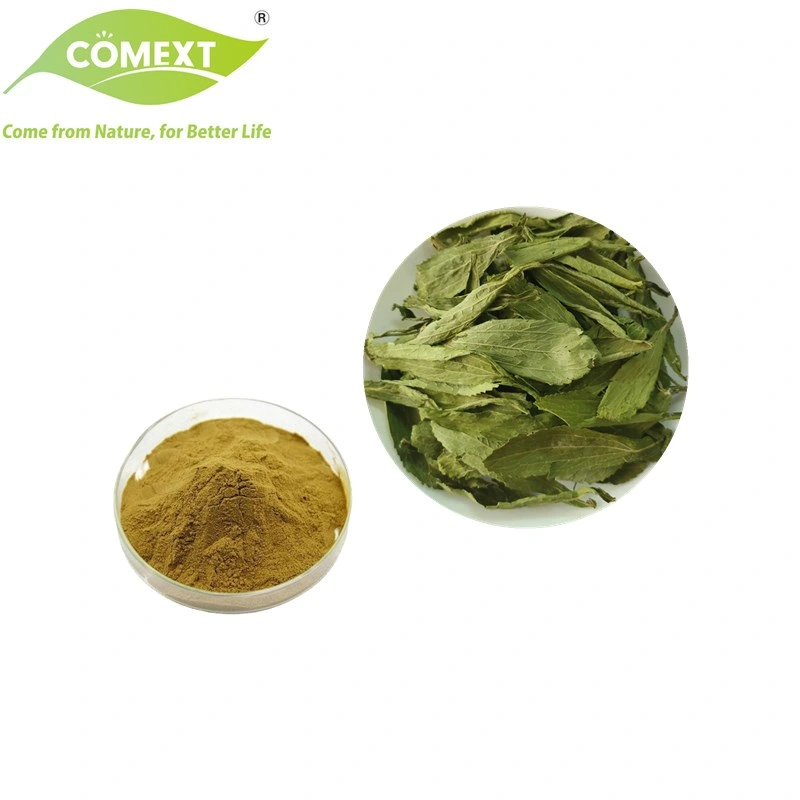 Comext Natural Herb Best Price Natural Sweetener 90% Stevioside Stevia Extract Powder