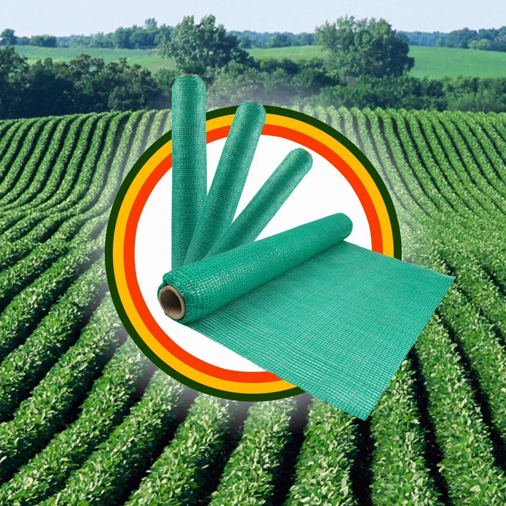 HDPE Material Agricultural Sun Green Shade Net Plastic Mesh Net for Vegetable Greenhouse Shade Net