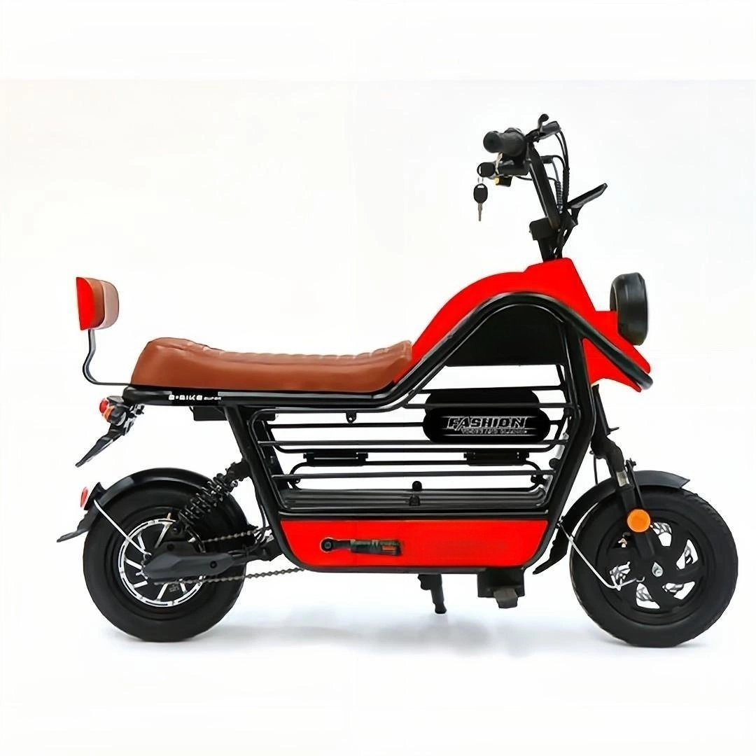 BXB-114e Familien-Shopping Warm Reisen mit Petselectric Motorbike