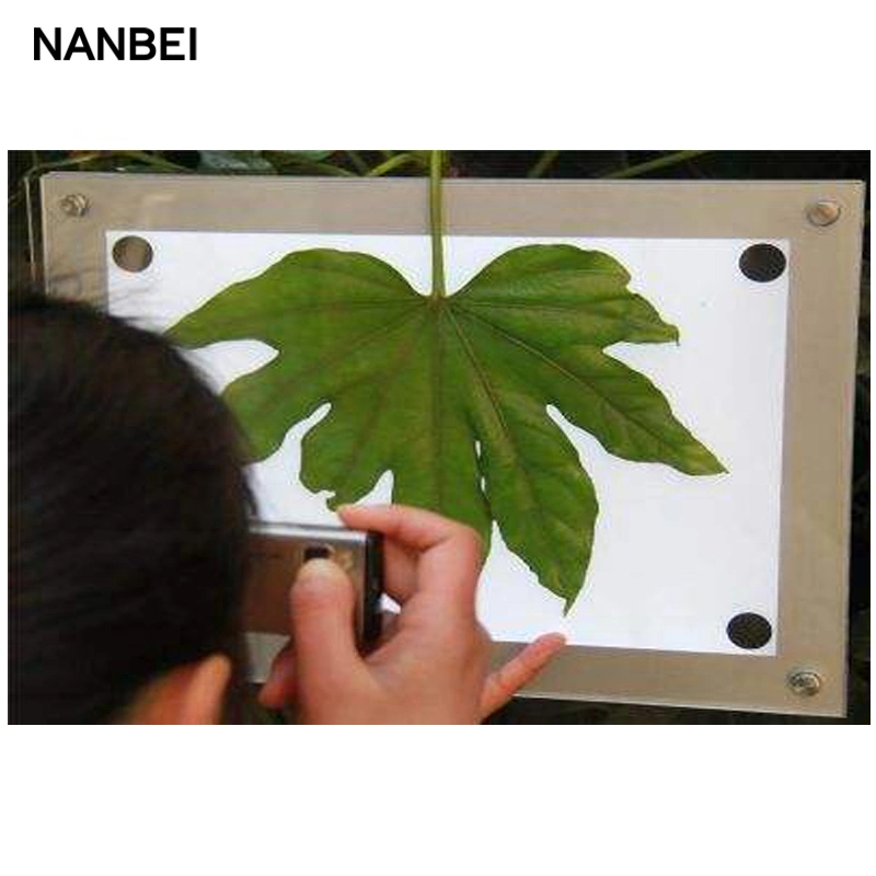 PC Scanning Leaf Area Meter for Teaching and Research