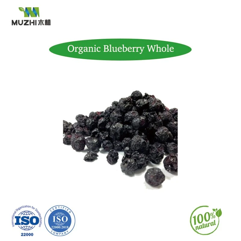 Factory Supply Natural Hot Sale Blushwood Berry Fruit Extract Powder