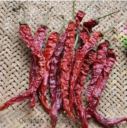 New Crop Air Dried Type Dry Red Chilli