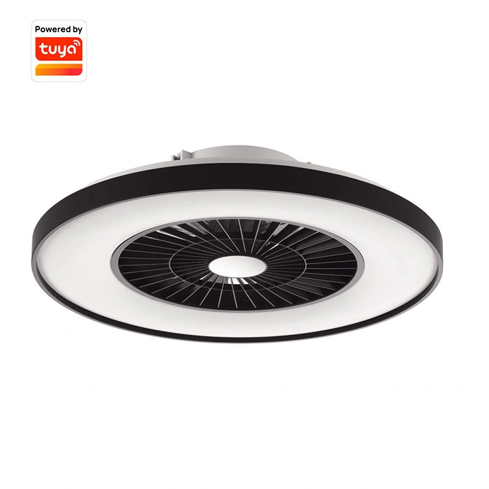 High quality/High cost performance  Tuya Control Modern Smart LED Ceiling Fan with Light