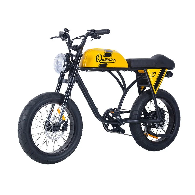 750W Powerful Dirt Ebike with 180mm Front and Rear Disc Brake