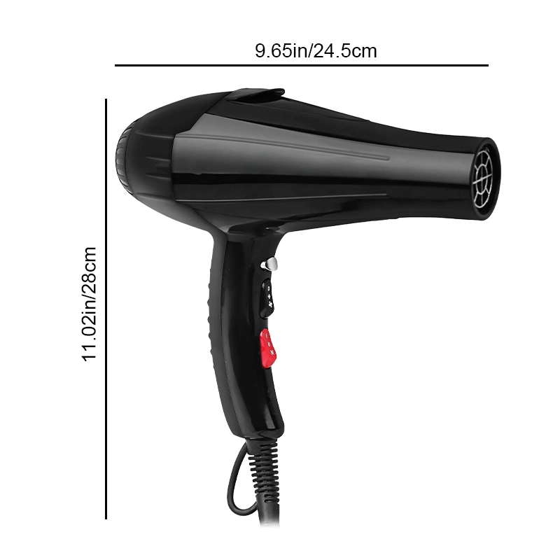 Customized Professional High-Power Hair Dryer for Salon