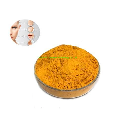 China Supply Biochemial Natural Turmeric Extract Pure Curcumin 95%