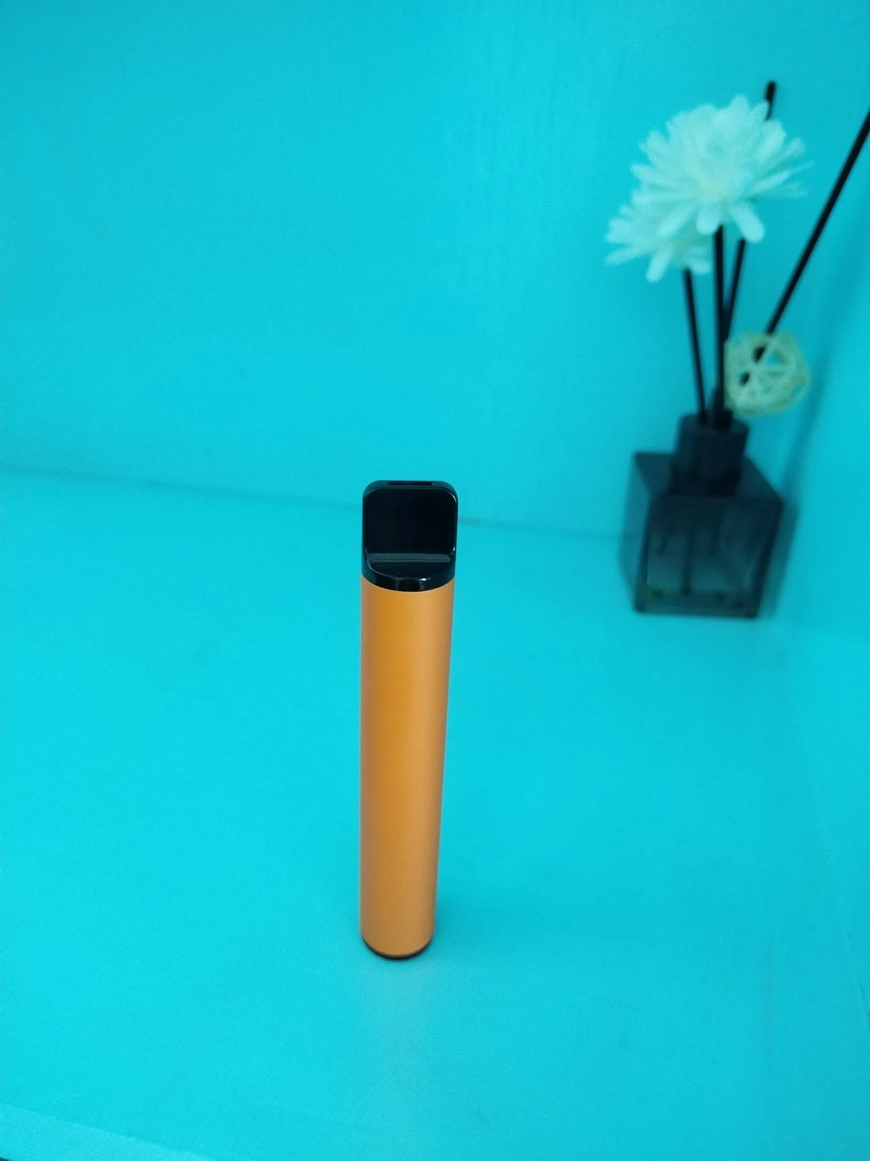 Custom Wholesale/Supplier Vape Cheapest Price Electronic Cigarette Disposable/Chargeable Vape Pen