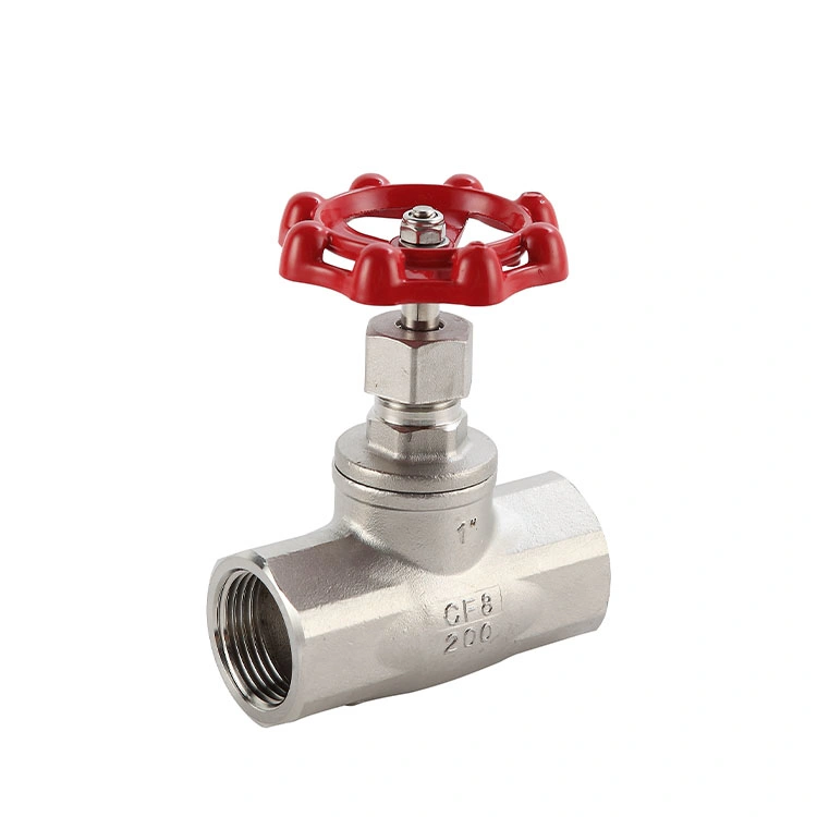 CF8/CF8m 304/316 Female Thread/Screw Ends Globe Valve Casting Stainless Steel Gate Ss Globe Valve