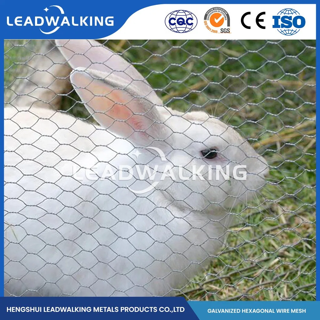 Leadwalking Low Carbon Stahl Drahtmaterial Chicken Drahtgeflecht Fabrik 0,45-2,5mm Drahtstärke PVC hexagonal Netting China Verzinkt Gewebte hexagonal Netz