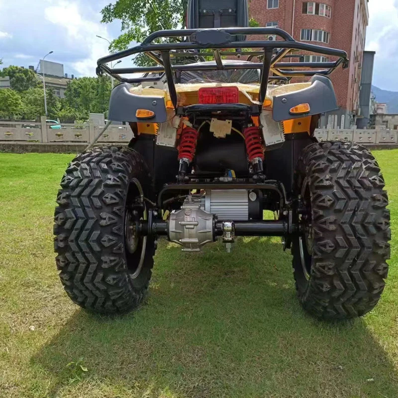 4000W 4ruedas eléctrico adulto de conducción 4X4 ATV Quad