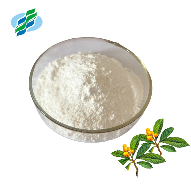 Natural Plant Insulin Loquat Leaf Extract Powder Corosolic Acid 50%