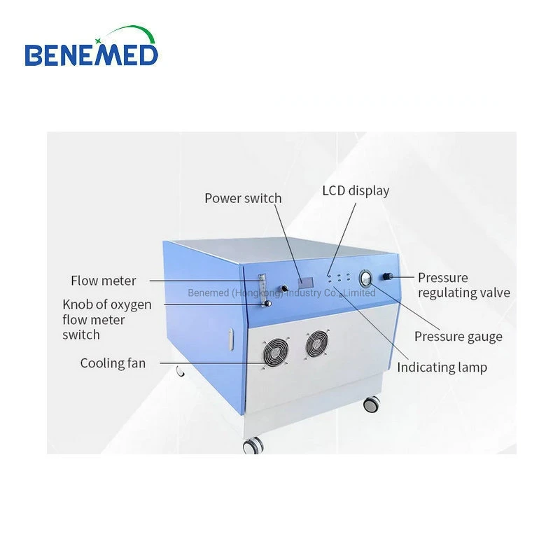 Venta en caliente equipos baratos de terapia física oxígeno de alta concentración del hogar Concentrador