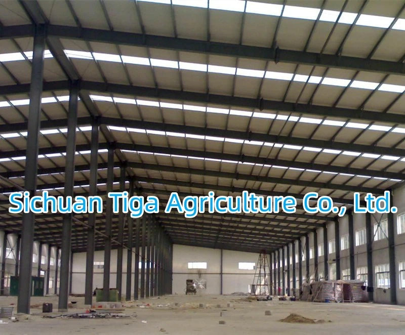 Light Weight Steel Structure with Convenient Construction Made in China