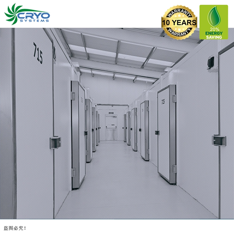 White Onion Water Melon Seeds Cold Storage Room Ventilation Bally Cold Room Cold Storage for Onion