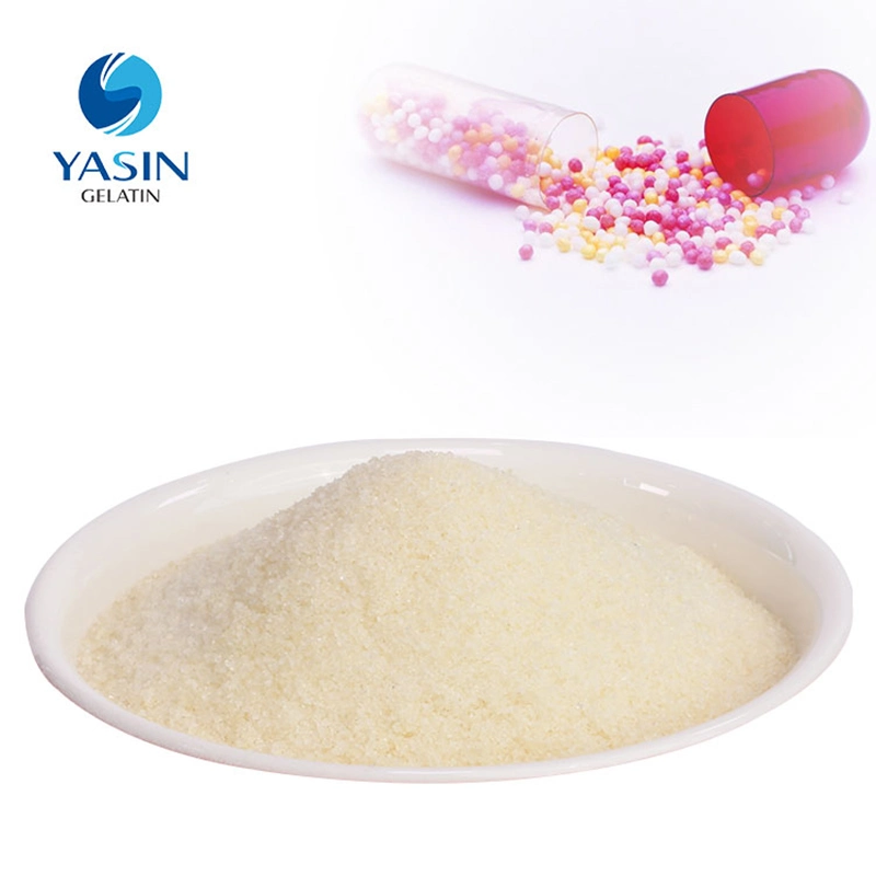 Halal Certificated Gelatin Powder