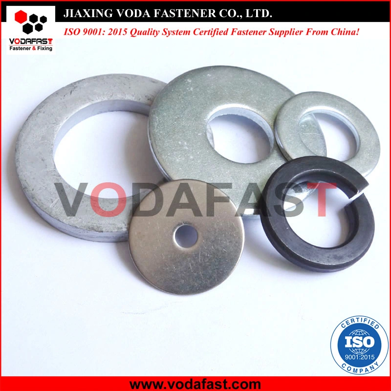 Carbon Steel Stainless Steel Flat Washers Plain Washers Spring Lock Washers Zinc Plated