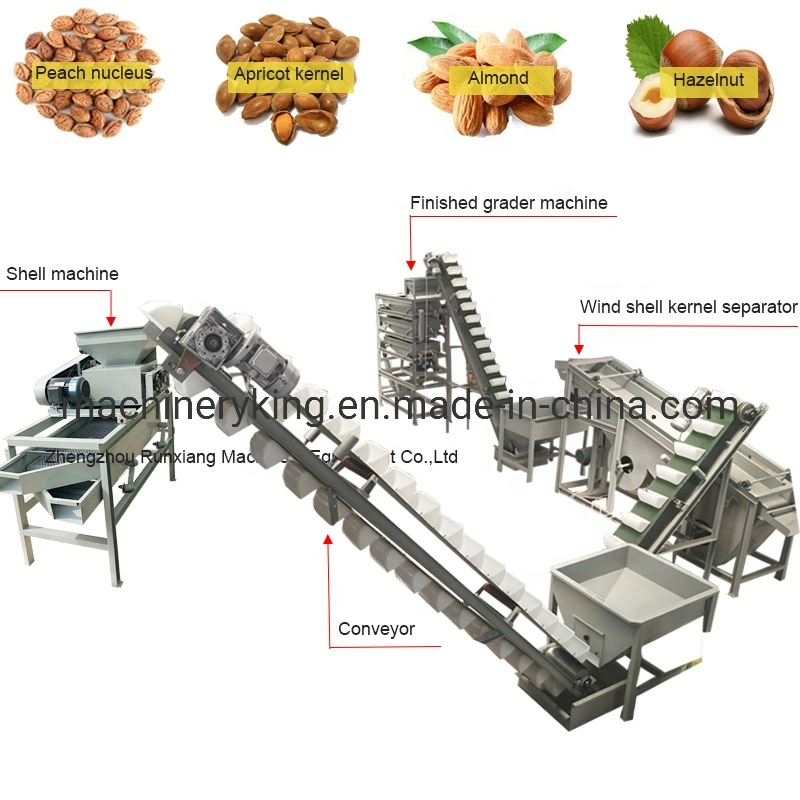 Dry Nuts Grading Machine Date Palm Sorting Machine