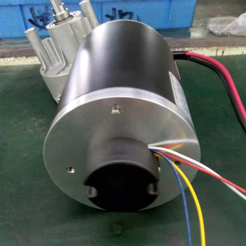 El gusano de la licuadora el Motor 24V DC de alto par motor de engranajes 100 rpm del eje de doble