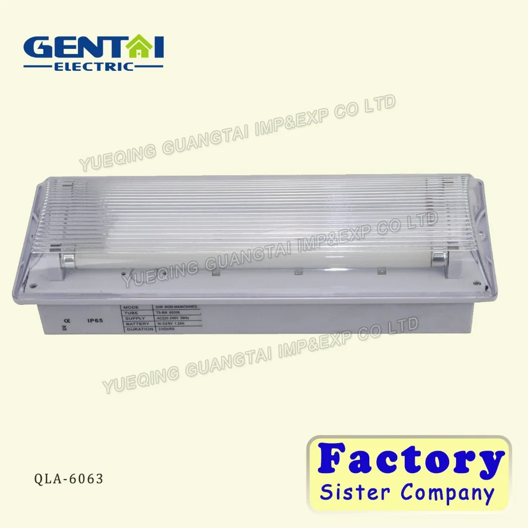 Fire Retardant ABS Non-Maintained Fluorescent Tube Emergency Light