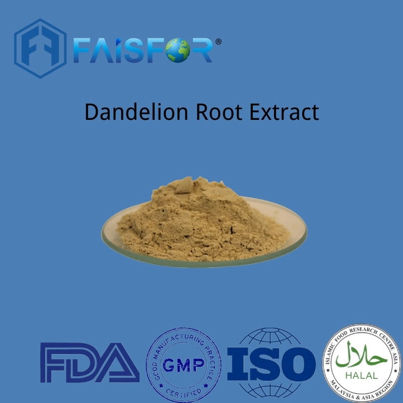 Best Price Dandelion Extract Factory Directly Supply Dandelion Root Extract Powder