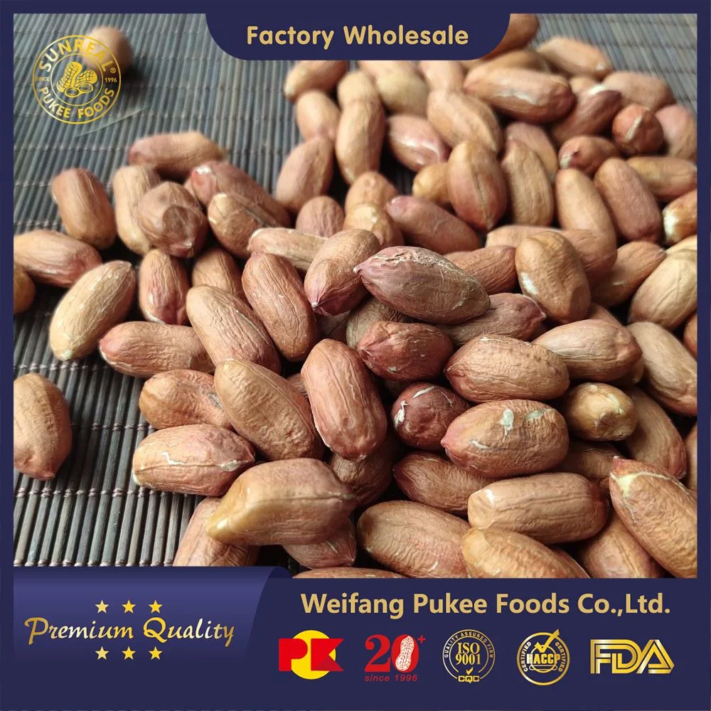 Raw Peanut Kernels Virginia 28/30 China/Reasonable Price/Premium Quality