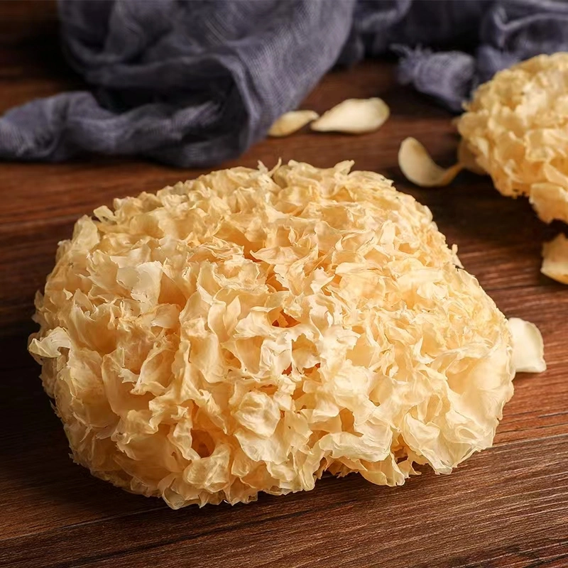 Best Quality Dried White Jelly Mushroom Tremella Fuciformis Snow Fungus